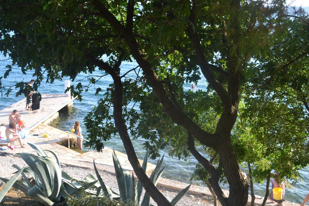 Casa Nela Villa Maslenica Rum bild